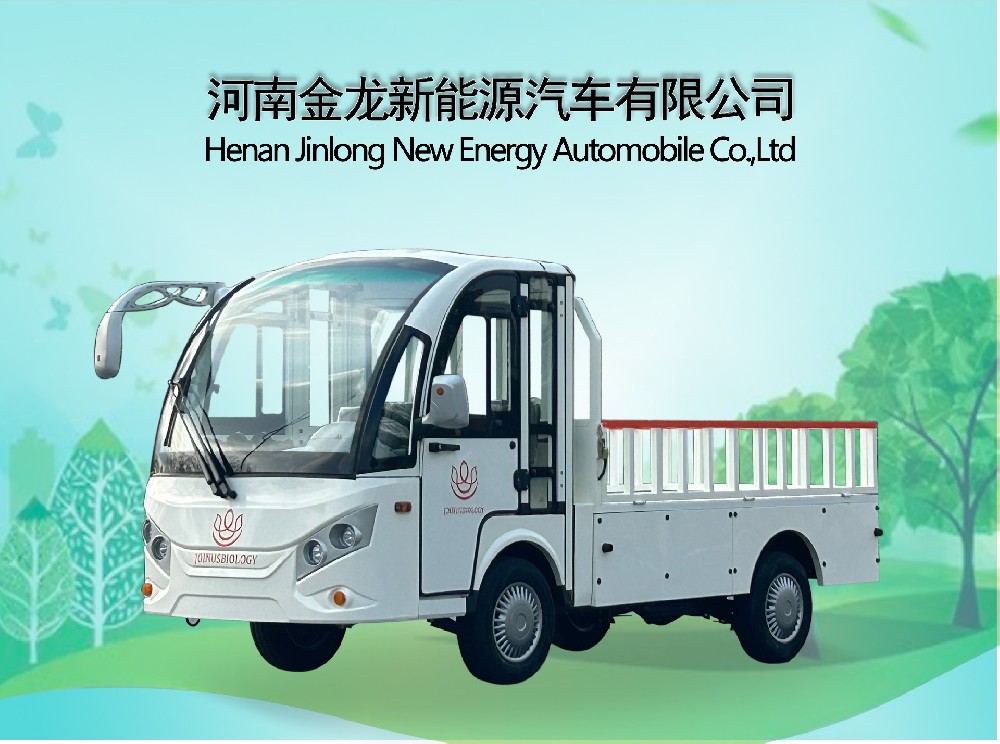2座電動(dòng)貨車(chē)